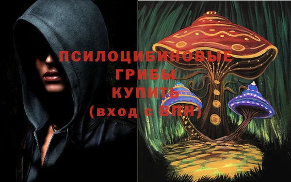 метадон Алексеевка